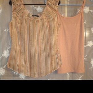 The Limited Multicolor Striped Blouse and Tank Set